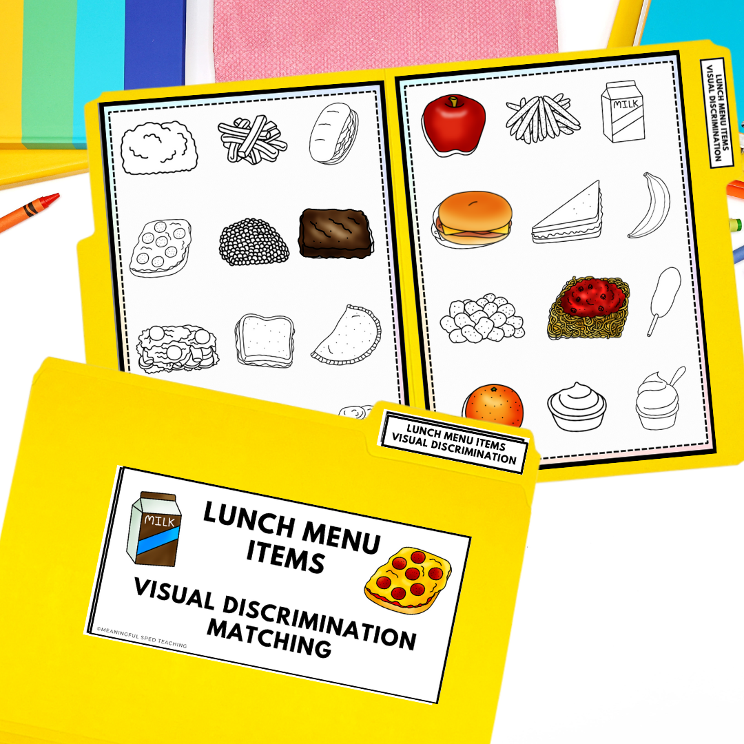 Lunch Menu Items File Folders Errorless Matching and Visual Discrimination