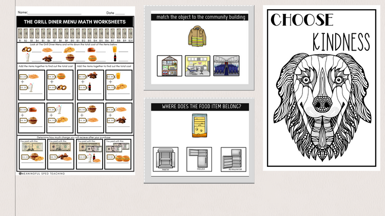 Meaningful Sped Teaching Educational Resources